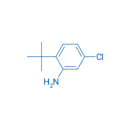 2-(tert-Butyl)-5-chloroaniline 100mg