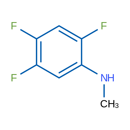 2,4,5-Trifluoro-N-methylaniline 1g