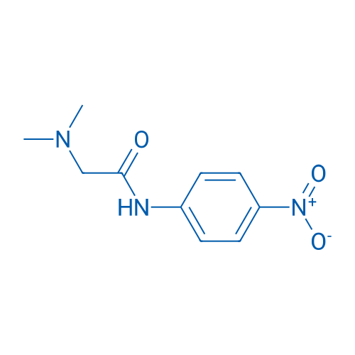 2-(Dimethylamino)-N-(4-nitrophenyl)acetamide 250mg