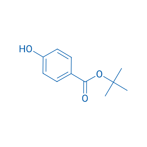 tert-Butyl 4-hydroxybenzoate 10g