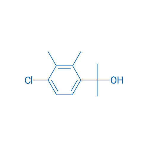 2-(4-Chloro-2,3-dimethylphenyl)propan-2-ol 100mg