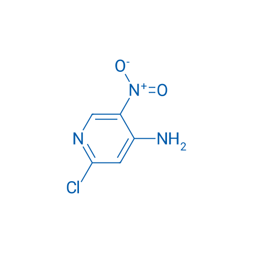 2-Chloro-5-nitropyridin-4-amine 1g