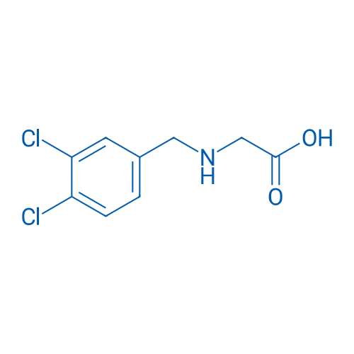 (3,4-Dichloro-benzylamino)-acetic acid 1g