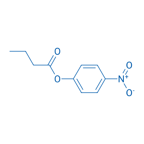 4-Nitrophenyl butyrate 250mg