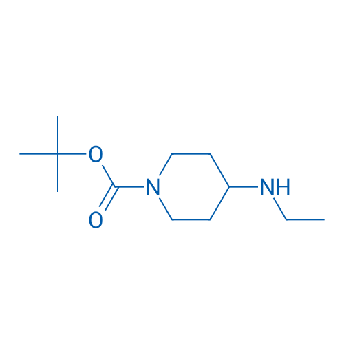 1-Boc-4-Ethylaminopiperidine 1g