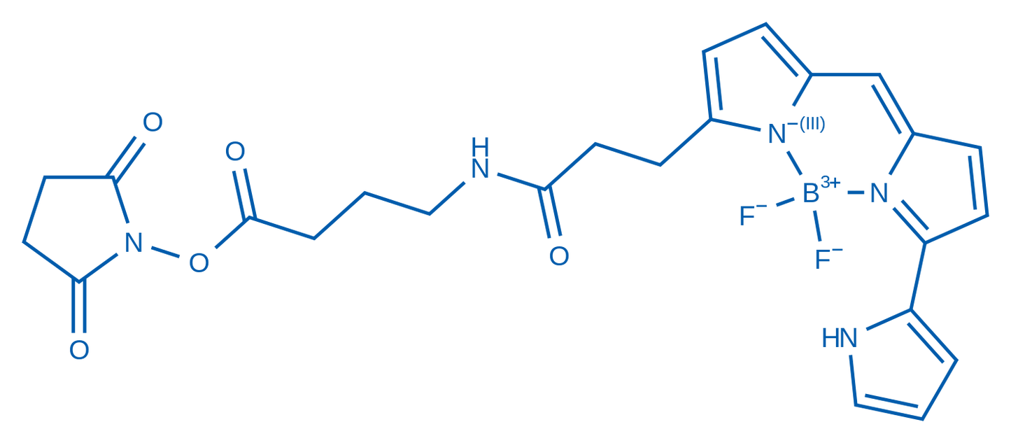 2,5-Dioxopyrrolidin-1-yl 4-(3-(5,5-difluoro-7-(1H-pyrrol-2-yl)-5H-5l4,6l4-dipyrrolo[1,2-c:2',1'-f][1,3,2]diazaborinin-3-yl)propanamido)butanoate 1mg