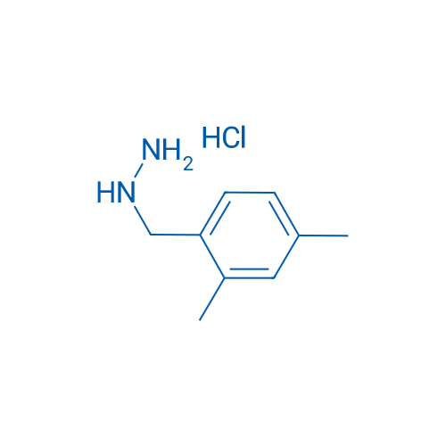 (2,4-Dimethylbenzyl)hydrazine hydrochloride 5g