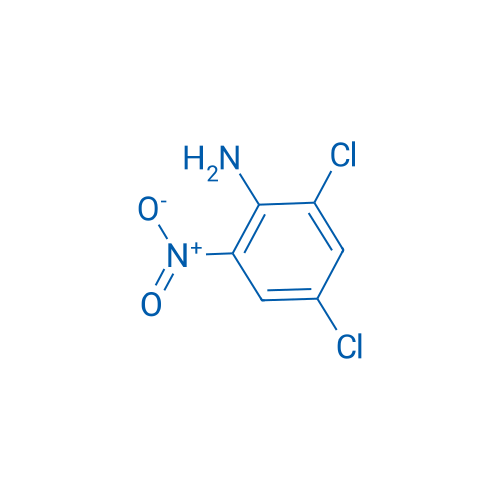 2,4-Dichloro-6-nitroaniline 25g