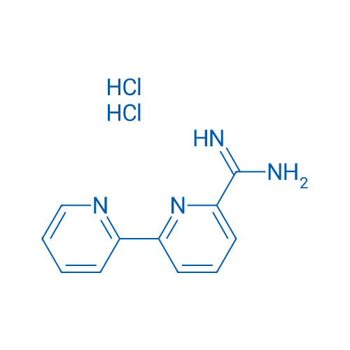[2,2'-Bipyridine]-6-carboximidamide dihydrochloride 100mg