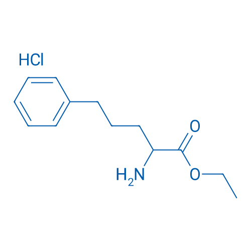 Ethyl 2-amino-5-phenylpentanoate hydrochloride 1g
