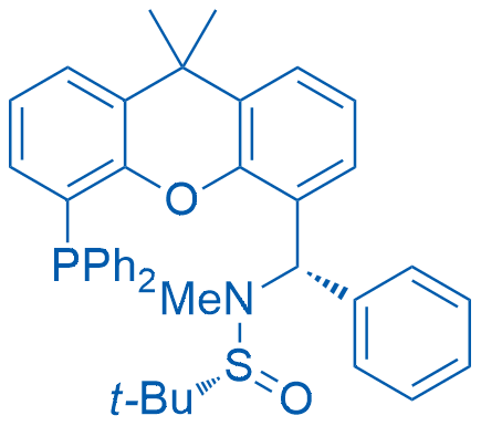 (R)-N-((S)-(5-(Diphenylphosphino)-9,9-dimethyl-9H-xanthen-4-yl)(phenyl)methyl)-N,2-dimethylpropane-2-sulfinamide 250mg