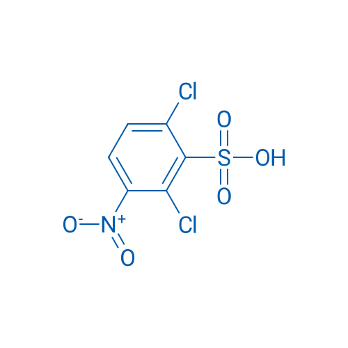 2,6-Dichloro-3-nitrobenzenesulfonic acid 1g