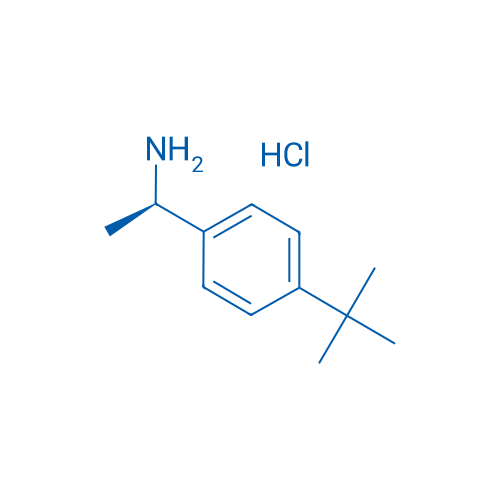 (R)-1-(4-(tert-Butyl)phenyl)ethanamine hydrochloride 100mg