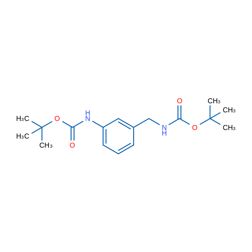Carbamic acid, [3-[[[(1,1-dimethylethoxy)carbonyl]amino]methyl]phenyl]-, 1,1-dimethylethyl ester 10mg