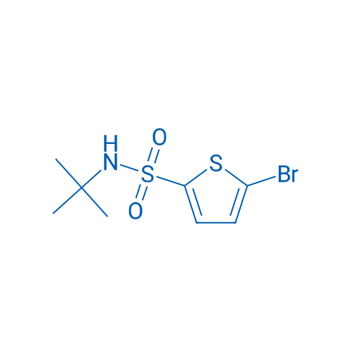 N-tert-Butyl 5-bromo-2-thiophenesulfonamide 1g