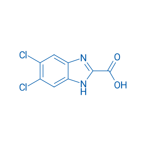 5,6-Dichloro-1H-benzimidazole-2-carboxylic acid 250mg