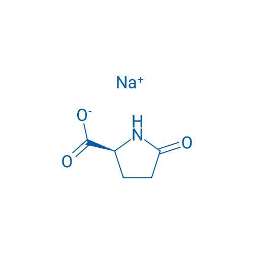 L-Pyroglutamic acid sodium 1000g