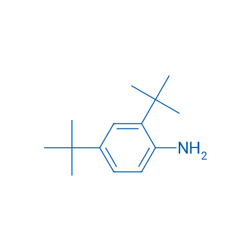 2,4-Di-tert-butylaniline 5g