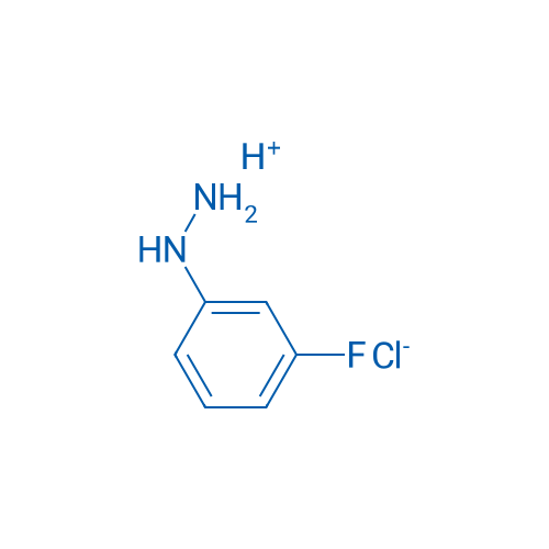 (3-Fluorophenyl)hydrazine hydrochloride 10g