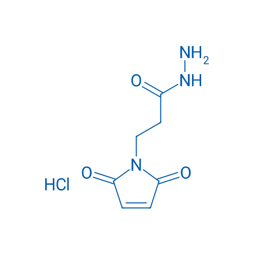 3-(2,5-Dioxo-2,5-dihydro-1H-pyrrol-1-yl)propanehydrazide HCl 100mg