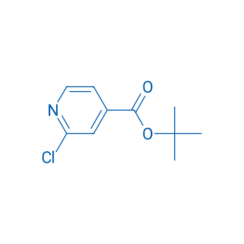 tert-Butyl 2-chloroisonicotinate 100g