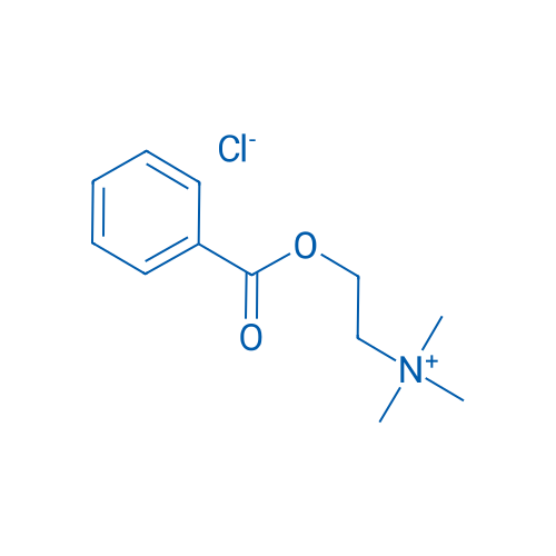 Benzoylcholine chloride 5g