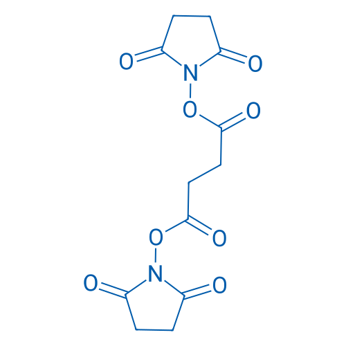 Disuccinimidyl Succinate 25g