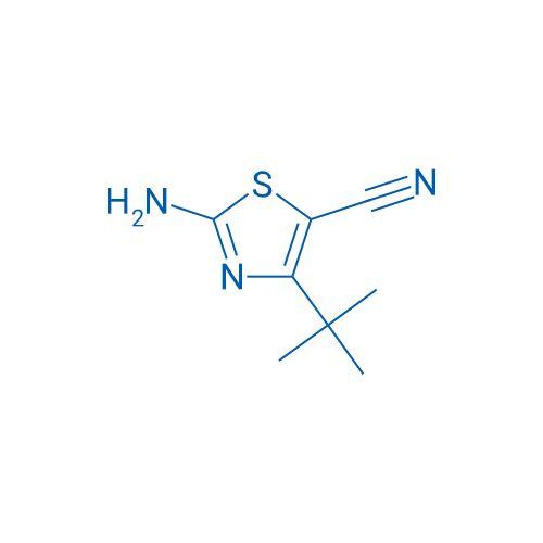 2-Amino-4-(tert-butyl)thiazole-5-carbonitrile 1g