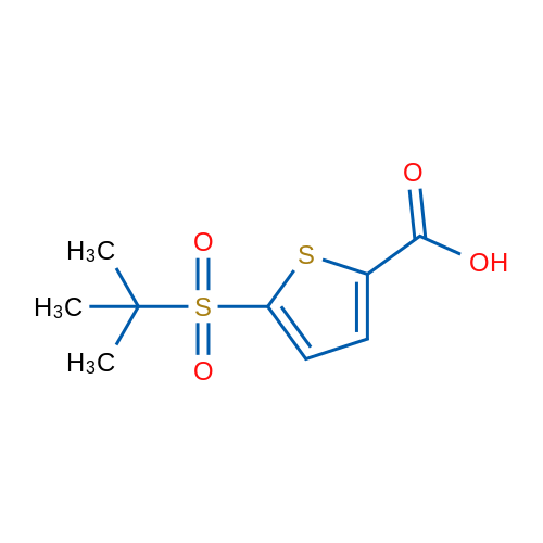 5-(tert-Butylsulfonyl)thiophene-2-carboxylic acid 1g