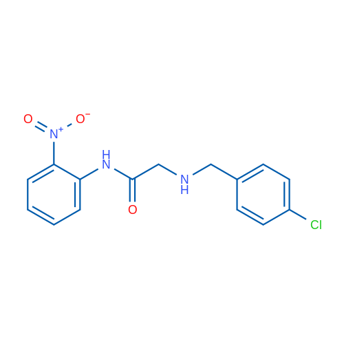 2-{[(4-chlorophenyl)methyl]amino}-N-(2-nitrophenyl)acetamide 1g