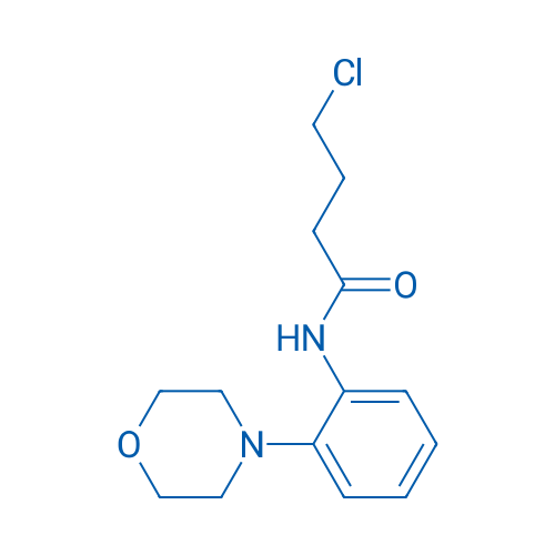 4-Chloro-N-[2-(morpholin-4-yl)phenyl]butanamide 1g