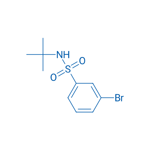 3-Bromo-N-(tert-butyl)benzenesulfonamide 5g