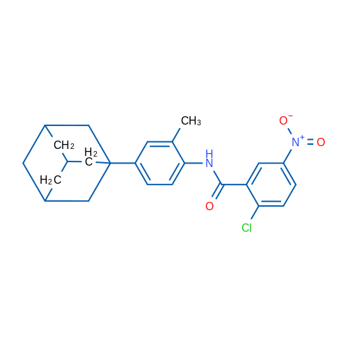 N-[4-(Adamantan-1-yl)-2-methylphenyl]-2-chloro-5-nitrobenzamide 1g