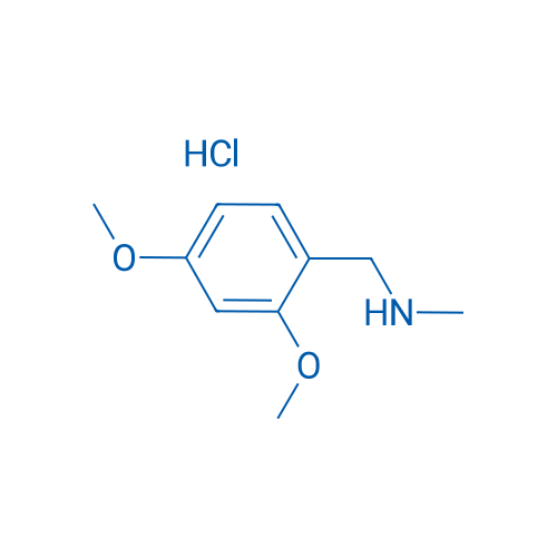 1-(2,4-dimethoxyphenyl)-N-methylmethanamine hydrochloride 250mg