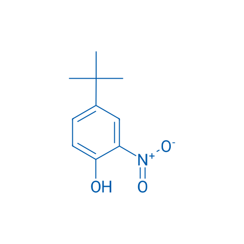 4-(tert-Butyl)-2-nitrophenol 500g