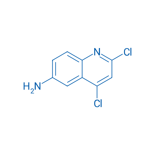 2,4-Dichloroquinolin-6-amine 1g