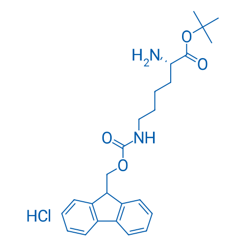 H-Lys(Fmoc)-OtBu·HCl 1g