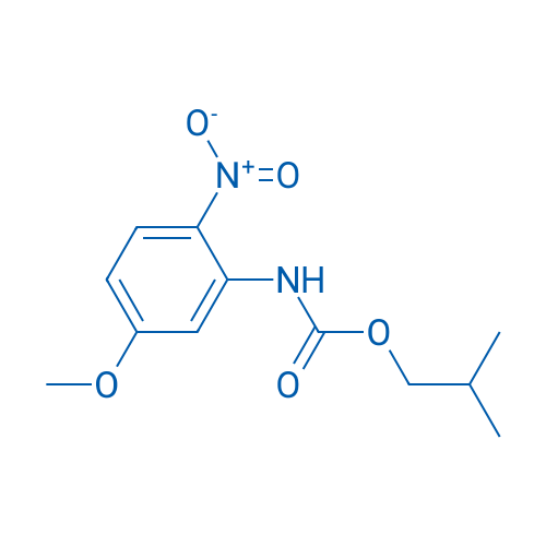 Isobutyl (5-methoxy-2-nitrophenyl)carbamate 1g