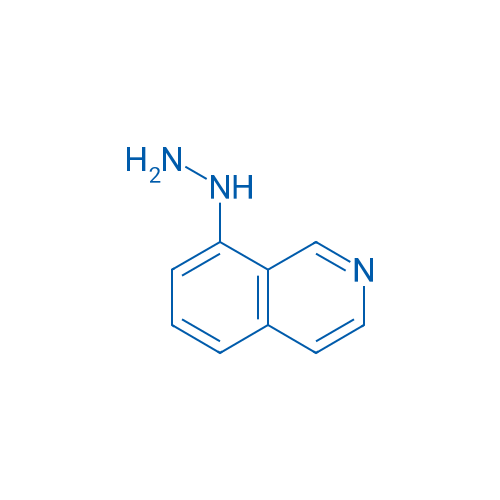 8-Hydrazinylisoquinoline 1g