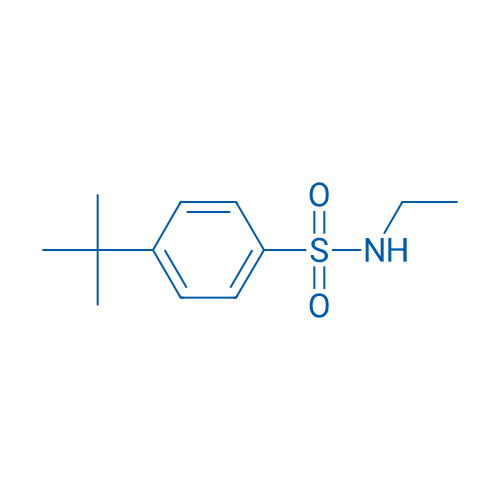4-tert-Butyl-n-ethylbenzene-1-sulfonamide 1g
