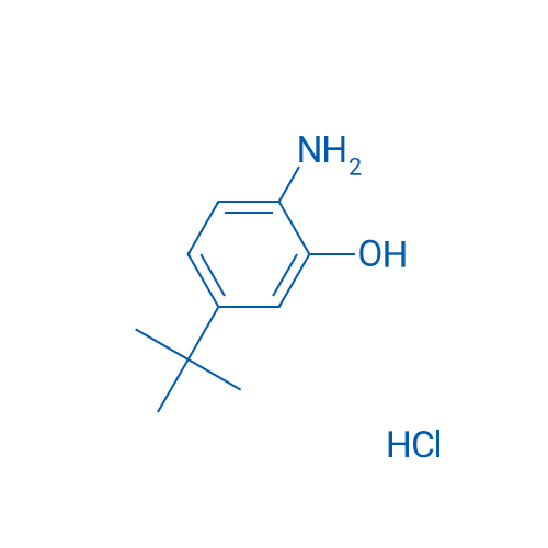 2-Amino-5-tert-butylphenol hydrochloride 1g