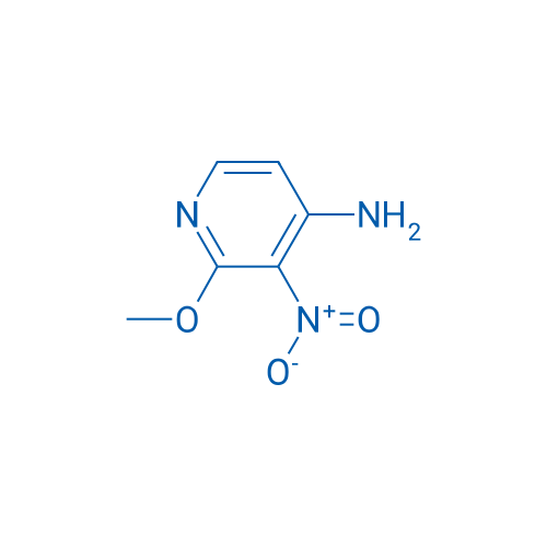 2-Methoxy-3-nitropyridin-4-amine 1g