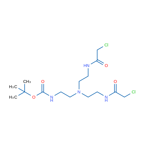2N-BOc-2',2''-triaminotriethylamine-bis(chloroacetamide) 1g