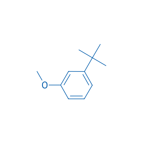 1-(tert-Butyl)-3-methoxybenzene 10g