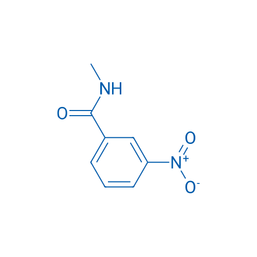 N-Methyl-3-nitrobenzamide 100mg