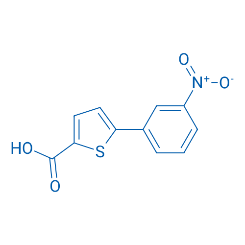 5-(3-Nitrophenyl)thiophene-2-carboxylic acid 1g