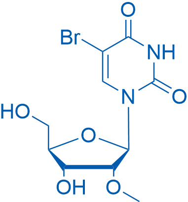 5-Bromo-2'-O-methyluridine 250mg