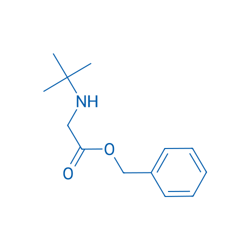 Benzyl 2-(tert-butylamino)acetate 1g