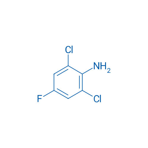 2,6-Dichloro-4-fluoroaniline 1g