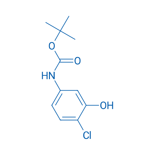 tert-Butyl (4-chloro-3-hydroxyphenyl)carbamate 1g
